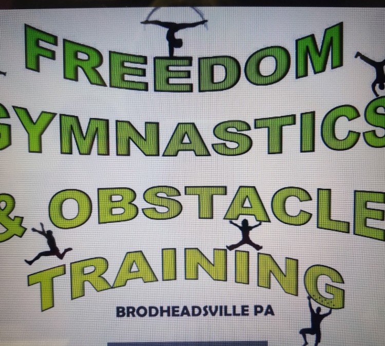 freedom-gymnastics-and-obstacle-training-photo
